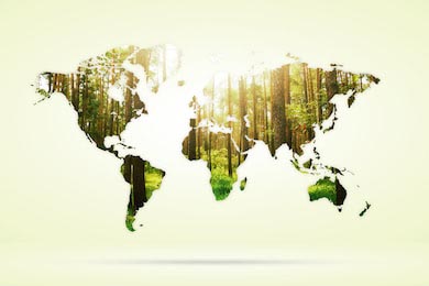 Двойная экспозиция зеленого леса и карты мира