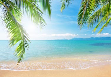 Океан с песчаным пляжем и кокосовыми пальмами