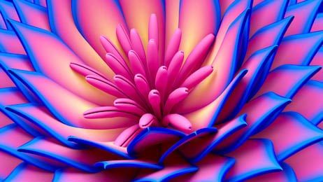 Яркий розово-фиолетовый распустившийся лотос 