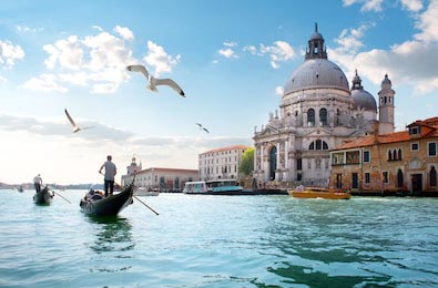 Чайки над Гранд-Каналом с гондолами в Венеции