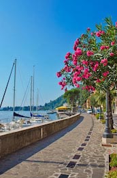Аллея с цветочными деревьями у озера Марина, Италия
