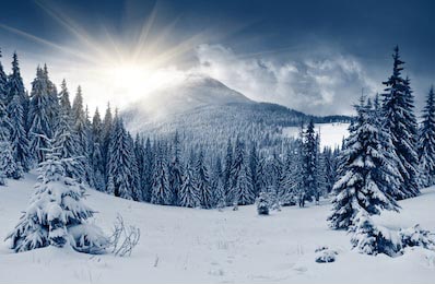 Красивый зимний пейзаж деревья покрытые  снегом 